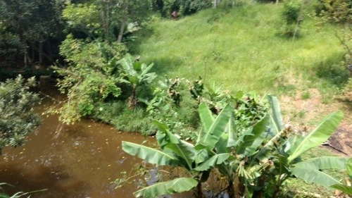 Imagem 12 de 15 de Venda Chácara Com Lago Em Itapecerica Da Serra - Vi137