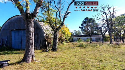 Imagen 3 de 12 de Venta Campo Lavalleja 490 Has Forestal Ganadero 217has En Rebrote Forestal Suelos 2.11a Y 2.11b