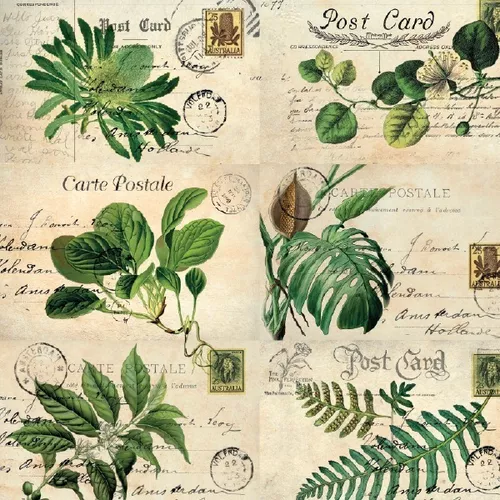 Láminas Botánica - Flora - La Tienda de Carmen Deco