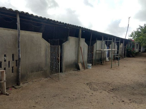 Granja A Venda Pium