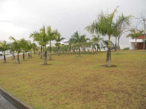 Imagem 4 de 5 de Terreno À Venda, 430 M² Por R$ 300.000 - Condomínio Alphaville 1 - Sorocaba/sp, Próximo Ao Shopping Iguatemi. - Te0083 - 67640033