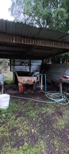Se Vende Hermosa Parcela, De 5000 Mts 2, Parcela 51, Sector 