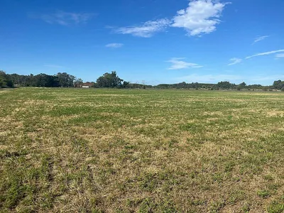 Campo en venta