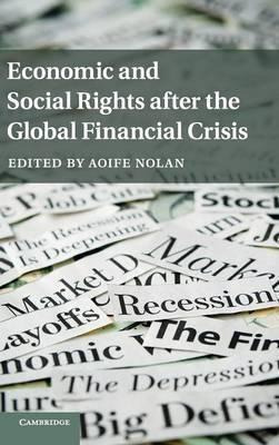 Libro Economic And Social Rights After The Global Financi...