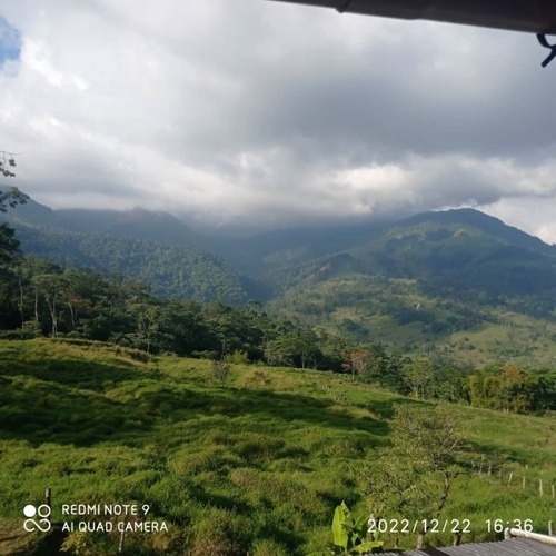 Imagen 2 de 4 de Finca En Venta Via Chorro El Indio