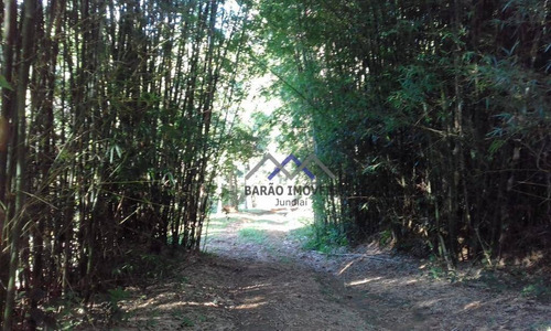 Imagem 23 de 26 de Sítio À Venda, 169400 M² Por R$ 3.500.000,00 - Santa Clara - Jundiaí/sp - Si0003