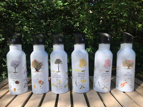 Imagen 4 de 5 de Botella Reutilizable / Semana Del Árbol #1millóndeárboles