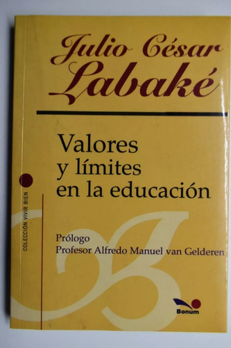 Valores Y Limites En La Educacion De Julio Cesar Labake