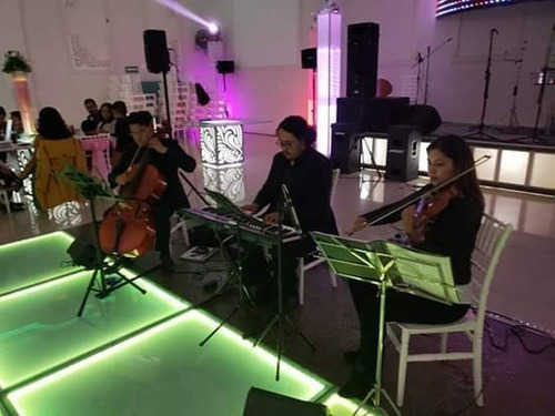 Imagen 5 de 5 de Violines Para Misa Y Eventos Sociales Cuerdas, Piano Y Voz