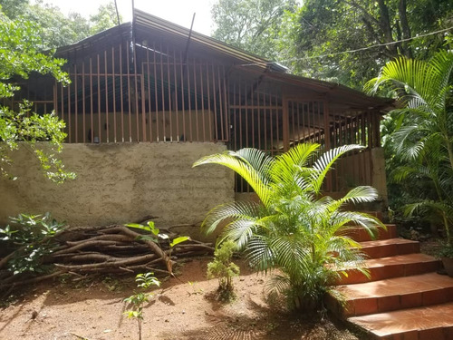 Imagen 4 de 12 de Vendo O Cambio Terreno Con Casa Cercada