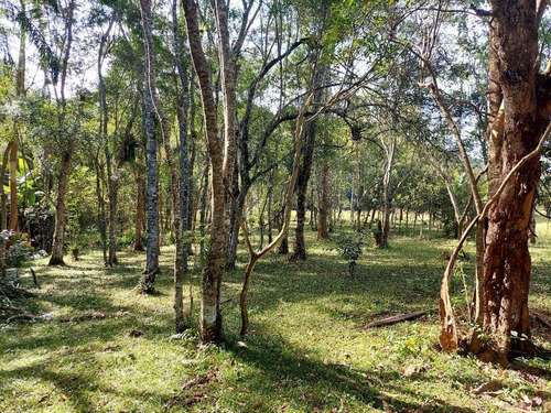 Imagem 14 de 20 de Chácara Em São Lourenço Com Lago Riacho 20.000 M² Ótimo Acesso