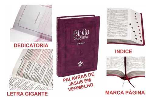 Bíblia Sagrada Letra Gigante com índice digital - Couro sintético Púrpura nobre: Almeida Revista e Corrigida (ARC) com Letras Vermelhas, de Sociedade Bíblica do Brasil. Editora Sociedade Bíblica do Brasil, capa dura em português, 2014