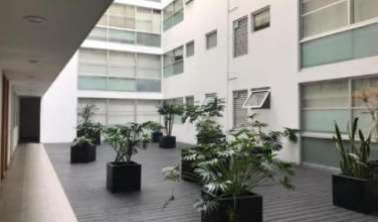 Imagen 2 de 11 de Hermoso Departamento En Roma Norte Amp