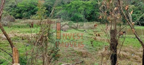 Imagem 4 de 10 de Terreno - Ref: 6309 - V-6309