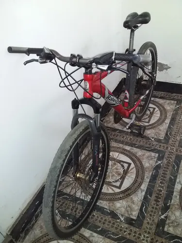 Raleigh Mojave 4.0