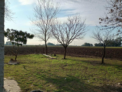 Imagen 7 de 17 de Venta Campo Quinta Chacra 7 Ha Virrey Del Pino