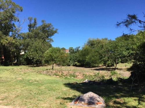 Imagen 4 de 14 de En Venta Dos Lotes A 200 Metros Del Mar En Pinamar.