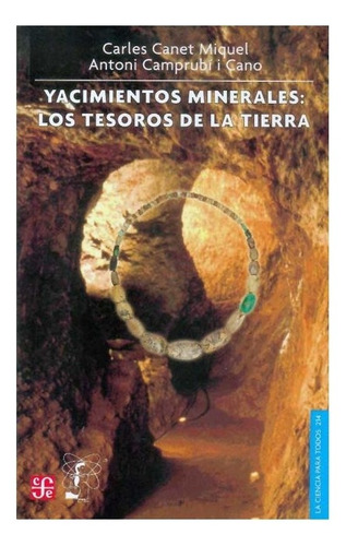 Libro: Yacimientos Minerales : Los Tesoros De La Tierra  