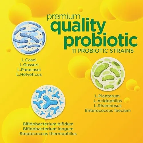 Probiótico Diario De Respuesta Intestinal Para Hombres Y Muj