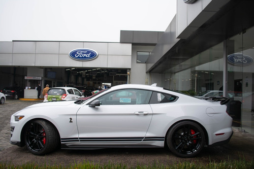 Imagen 2 de 15 de Ford Shelby 2021