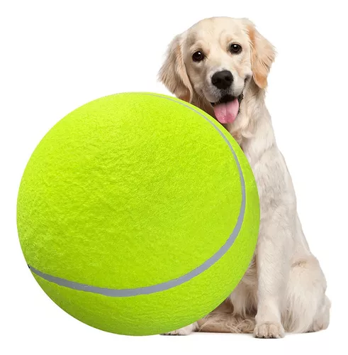  2 pelotas de tenis grandes de 8 pulgadas – para perros