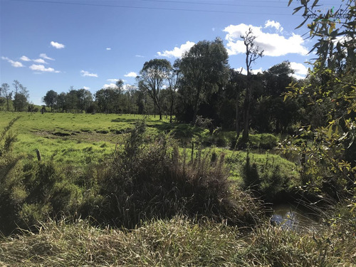 Agrícola En Venta En Puerto Varas , Nueva Braunau