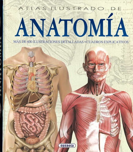 Atlas Ilustrado Anatomia