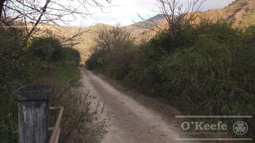 Imagen 9 de 30 de Campo En Venta En Salta - 2000 Has