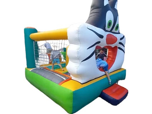 Castillo Inflable,cama Elastica,algodon De Azucar, Escalador