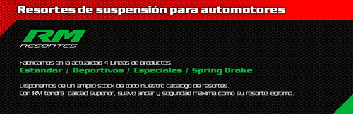 Par Espirales Progresivos Rm Delantero Ford Escort -1995