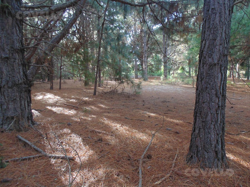 Terreno En  Balneario Zagarzazú