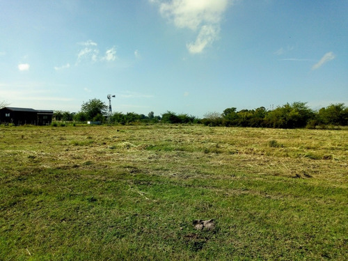 Imagen 8 de 14 de Cañuelas Barrio De Chacras, Lotes De 6.981 M2. Terreno Ideal Vivienda Permanente O Fin De Semana. Electricidad. Financiación