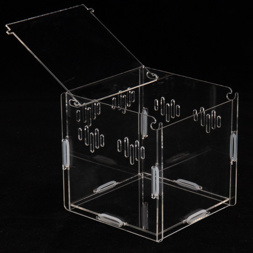 Ke Woow Nano Terrario Acrilico 11 X 11x 11 Cm 1.1 L Criadero