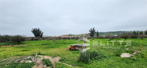 Imagen 25 de 29 de Industrial En Venta En Casablanca