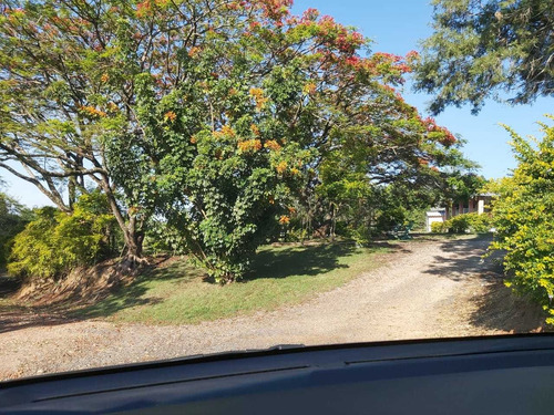 Imagem 9 de 29 de Terreno À Venda, Vila Nova Itapetininga, Itapetininga, Sp - Sp - Te0007_dcoe