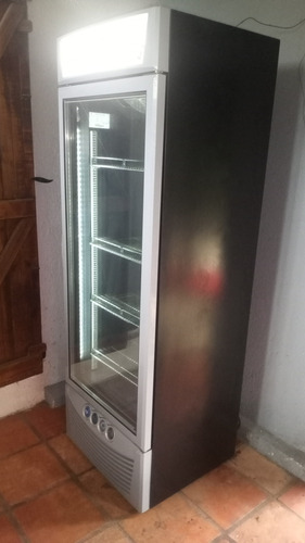 Freezer Vertical Doble Vidrio Super Congelados Italy