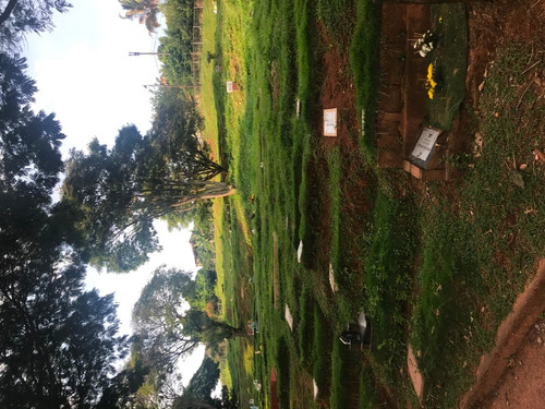 Imagen 6 de 6 de Vendo Lote Sencillo (cementerio Jardines De La Aurora)