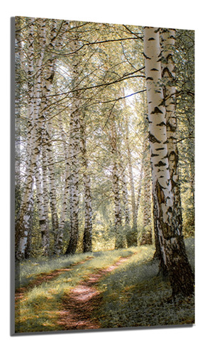 Quadro Tecido Canvas Caminho Florestas Arvores 60x90