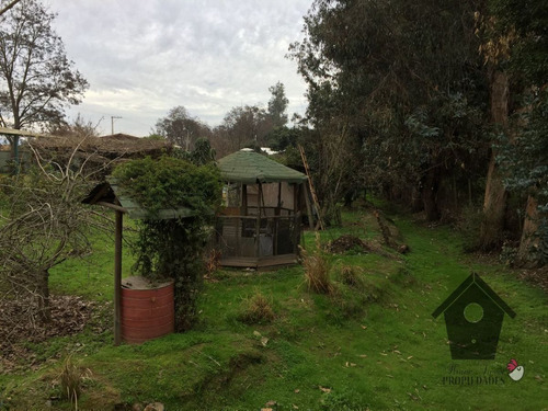 Casa En Olmue, 2d 1b, 100/2000m2 + Cabaña 24m2