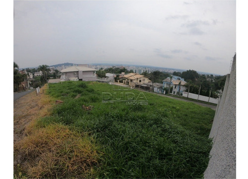 Imagem 6 de 6 de Terreno - Lote Seis - Ref: 23541 - V-23541