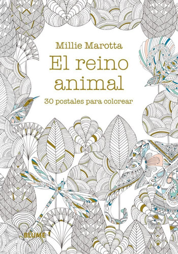 Libro Reino Animal Postales Colorear