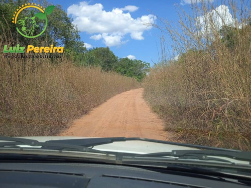 Imagem 7 de 11 de Fazenda À Venda No Vale Do Araguaia - To - Espetacular Para Soja - 1815