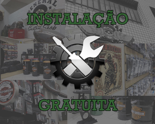 Encosto Traseiro Sissybar Removivel Breakout Fat Boy 18-21
