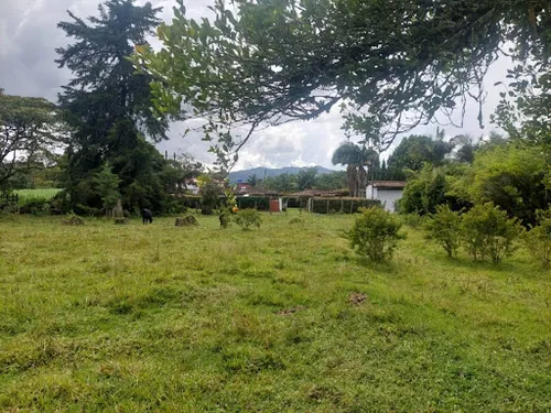 Lotes En Venta Llanogrande 743-7717