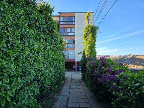Cerro Alegre