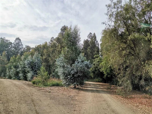 Vendo Parcelas De 5000 M2 En El Mejor Sector De Talagante