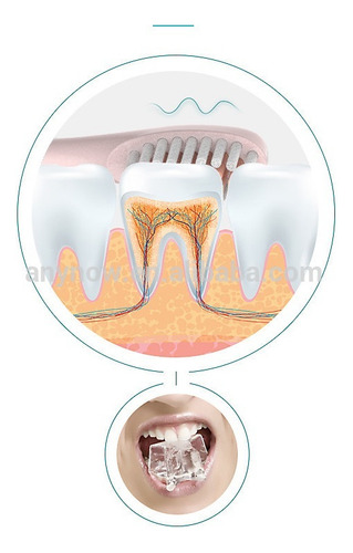 Cepillo De Dientes Eléctrico Belfia B10 Con 4 Picos, 6 Modos De Uso Usb