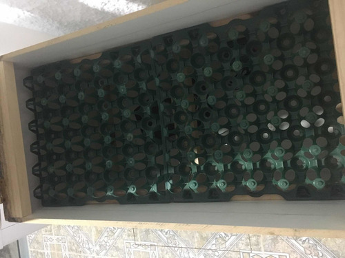 Incubadora 60 Huevos (Usado)
