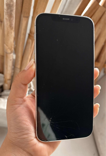 iPhone 12 Pro 256 Gb