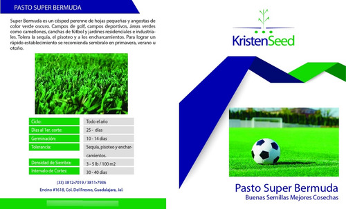 Semilla De Pasto Super Bermuda Desnuda Campos Deport. 1 Lb